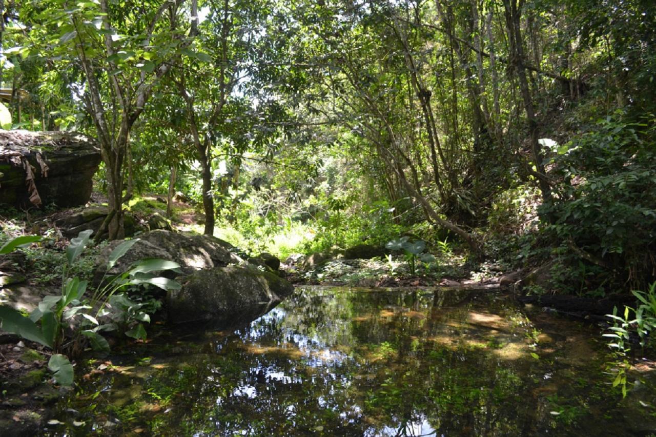 Vila Sitio Alto Da Montanha - Voce Em Paz Com A Natureza Pacoti Exteriér fotografie